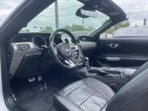 Thumbnail of 2022 Oxford White Ford Mustang