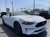 Thumbnail of 2022 Oxford White Ford Mustang