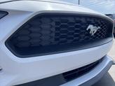 Thumbnail of 2022 Oxford White Ford Mustang