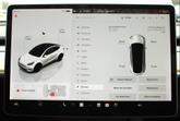 Thumbnail of 2022 White Tesla Model Y
