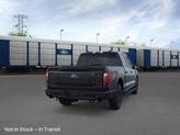Thumbnail of 2025 Agate Black Metallic Ford F-150