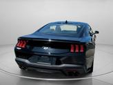 Thumbnail of 2025 Shadow Black Ford Mustang