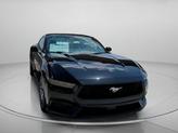 Thumbnail of 2025 Shadow Black Ford Mustang
