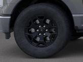 Thumbnail of 2025 Carbonized Gray Metallic Ford F-150 Lightning