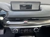 Thumbnail of 2024 Vik Black Genesis G80