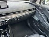 Thumbnail of 2024 Vik Black Genesis G80