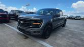 Thumbnail of 2025 Carbonized Gray Metallic Ford F-150