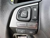 Thumbnail of 2018 Quartz Blue Pearl Subaru Forester