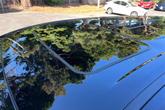 Thumbnail of 2024 Midnight Black Metallic Toyota Sienna