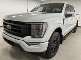 Thumbnail of 2023 Avalanche Gray Ford F-150