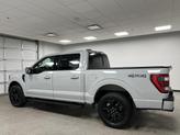 Thumbnail of 2023 Avalanche Gray Ford F-150