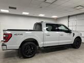 Thumbnail of 2023 Avalanche Gray Ford F-150