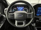 Thumbnail of 2023 Carbonized Gray Metallic Ford F-150