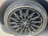 Thumbnail of 2025 Shimmering Silver Hyundai SANTA FE