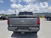 Thumbnail of 2025 Carbonized Gray Metallic Ford F-150