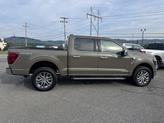 Thumbnail of 2025 Marsh Gray Ford F-150