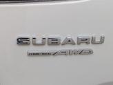 Thumbnail of 2024 Crystal White Pearl Subaru Forester