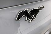 Thumbnail of 2025 Glacier Gray Metallic TriCoat Ford Mustang Mach-E