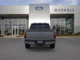 Thumbnail of 2025 Gray Ford F-150