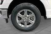 Thumbnail of 2025 White Ford F-150