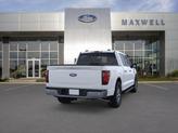 Thumbnail of 2025 White Ford F-150