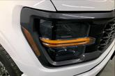 Thumbnail of 2025 White Ford F-150