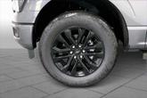 Thumbnail of 2025 Gray Ford F-150