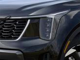 Thumbnail of 2025 Aurora Black Pearl Kia Sorento Hybrid