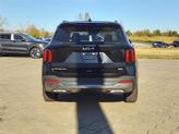 Thumbnail of 2025 Aurora Black Pearl Kia Sorento Hybrid