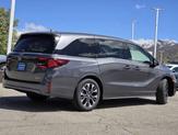 Thumbnail of 2025 Honda Odyssey