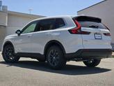 Thumbnail of 2026 Platinum White Pearl Honda CR-V