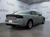 Thumbnail of 2022 Triple Nickel Clearcoat Dodge Charger