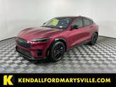 Photo of 2025 Molten Magenta Metallic Tinted Clearcoat Ford Mustang Mach-E