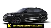 Photo of 2025 Shadow Black Ford Mustang Mach-E
