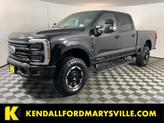 Photo of 2025 Agate Black Metallic Ford F-250