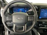 Thumbnail of 2025 Agate Black Metallic Ford F-250