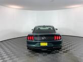 Thumbnail of 2020 Dark Highland Green Ford Mustang