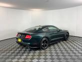 Thumbnail of 2020 Dark Highland Green Ford Mustang