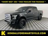 Photo of 2017 Shadow Black Ford F-150
