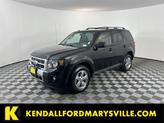 Photo of 2010 Black Ford Escape