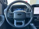 Thumbnail of 2025 Iconic Silver Ford F-150