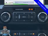 Thumbnail of 2019 Magnetic Ford F-250