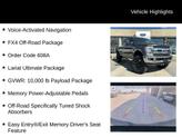 Thumbnail of 2019 Magnetic Ford F-250