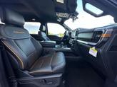 Thumbnail of 2025 Carbonized Gray Ford F-150