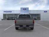 Thumbnail of 2025 Carbonized Gray Metallic Ford F-150