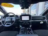 Thumbnail of 2025 Agate Black Ford F-150