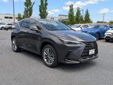 Thumbnail of 2025 Cloudburst Gray Lexus NX 350