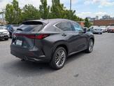 Thumbnail of 2025 Cloudburst Gray Lexus NX 350