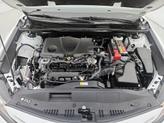 Thumbnail of 2023 White Toyota Camry