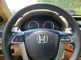 Thumbnail of 2009 Taffeta White Honda Accord